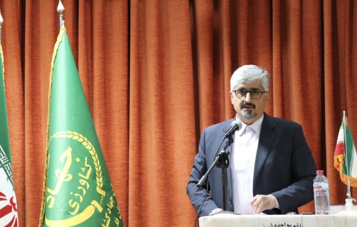 فارس؛ قطب جهانی تولید و صادرات انجیر خشک ایران