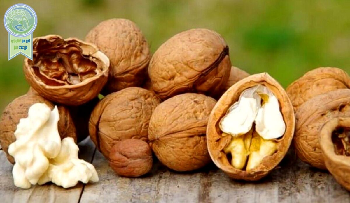 با خوردن این ماده غذایی شاد شوید