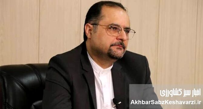 تأثیرات منطقه ‌ای جنگ ایران و چشم‌انداز امنیت غذایی افغانستان