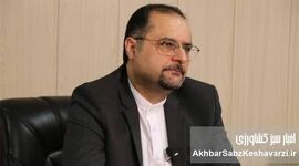 تأثیرات منطقه ‌ای جنگ ایران و چشم‌انداز امنیت غذایی افغانستان