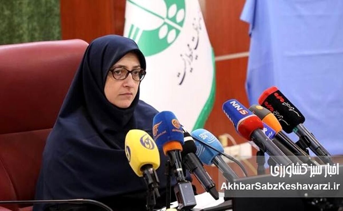 ترابی: تغییر اقلیم دیگر یک مساله فانتزی نیست!