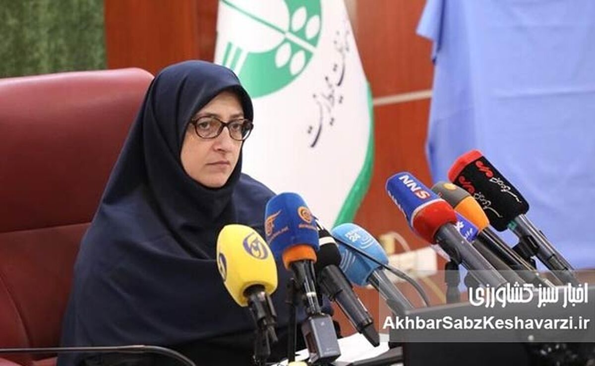 ترابی: تغییر اقلیم دیگر یک مساله فانتزی نیست!