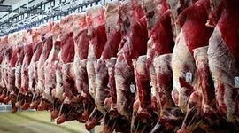 پیش‌بینی کاهش قیمت گوشت؛ نرخ جدید دام زنده اعلام شد