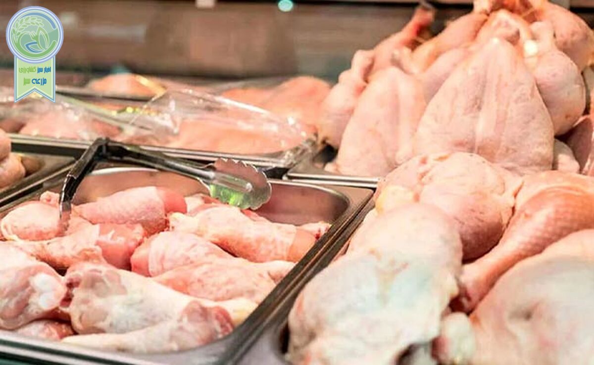 قیمت انواع مرغ ۱۵ اسفند ۱۴۰۲

