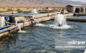 اقتصاد دریا محور؛ رسالت راهبردی شوراهای شهر در توسعه پایدار سواحل
