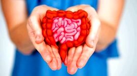 تا به حال به سلامت روده خود فکر کرده‌اید؟

