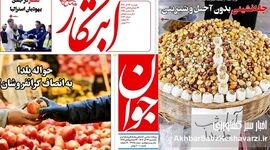 از ارز ترجیحی تا آجیل دو میلیونی؛ روایتی مشترک از بحران مواد غذایی در روزنامه‌های امروز ایران