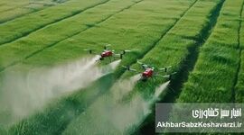 نجات مزرعه در بحران کمبود ارز: راهنمای جامع بهینه‌سازی مصرف کودهای شیمیایی