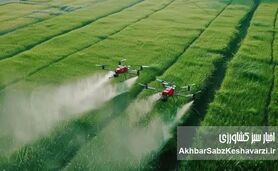 نجات مزرعه در بحران کمبود ارز: راهنمای جامع بهینه‌سازی مصرف کودهای شیمیایی