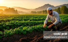 راز واقعی محصولات ارگانیک؛ سلامت از خاک تا سفره+ ویدئو