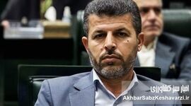 ورود جدی مجلس به گرانی کالاهای اساسی؛ جلسه فوق‌العاده در راه است