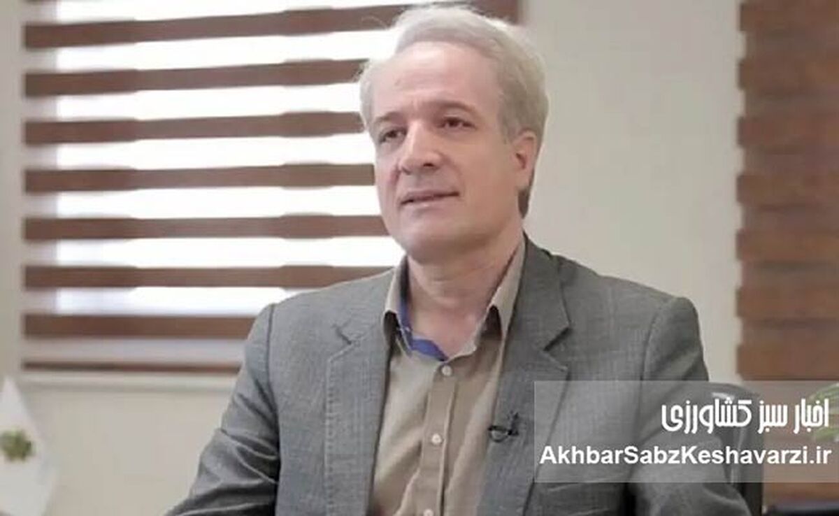 مرغ گران می‌شود یا نه؟ پاسخ صریح معاون وزیر به نگرانی مردم