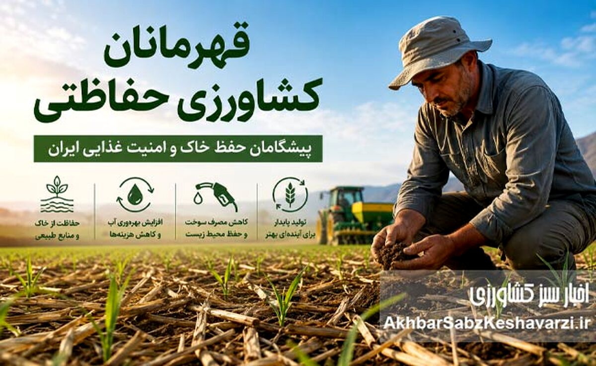 قهرمانان کشاورزی حفاظتی؛ پیشگامان حفظ خاک و امنیت غذایی ایران
