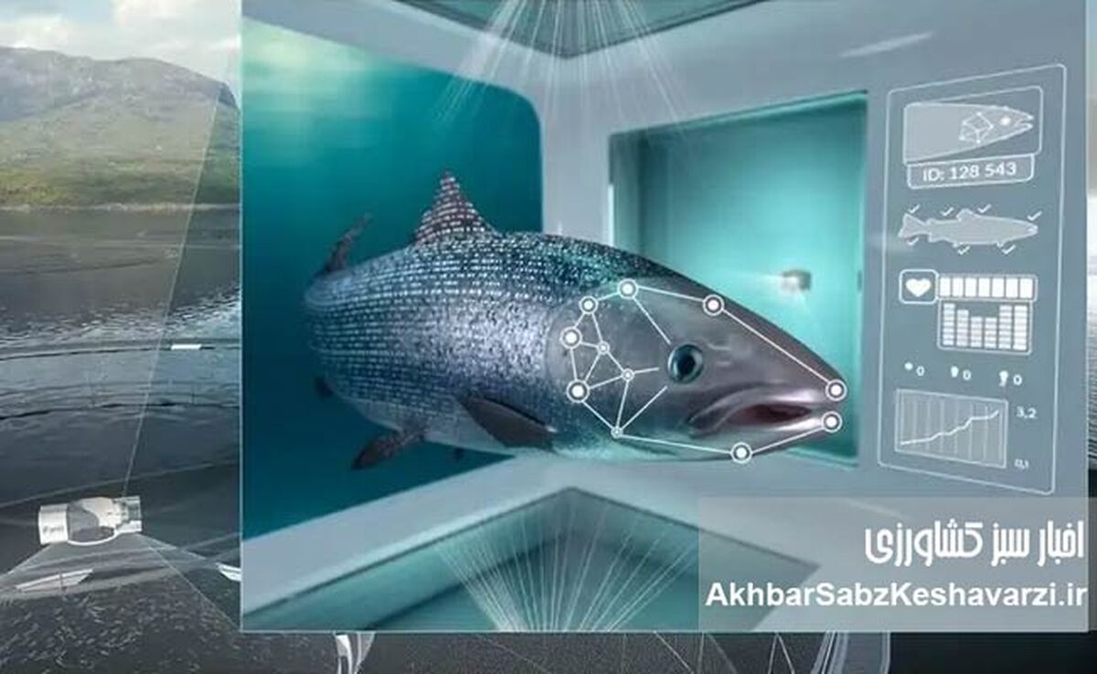 شیلات هوشمند زیرساخت پایداری در ایران