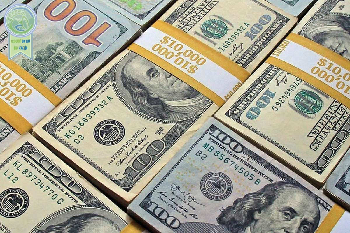 بازار خرید و فروش دلار و یورو شنبه 11 فروردین ۱۴۰۳+ جدول
