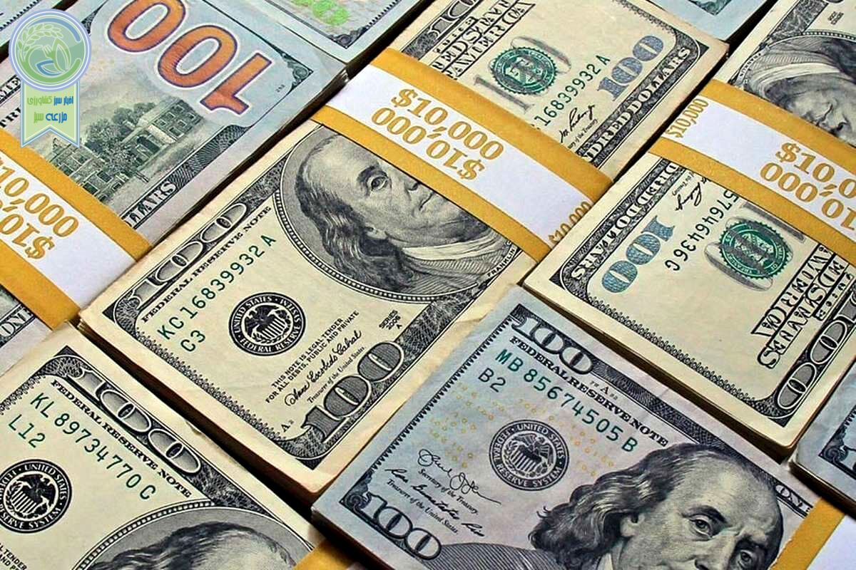 بازار خرید و فروش دلار و یورو پنج شنبه 9 فروردین ۱۴۰۳+ جدول
