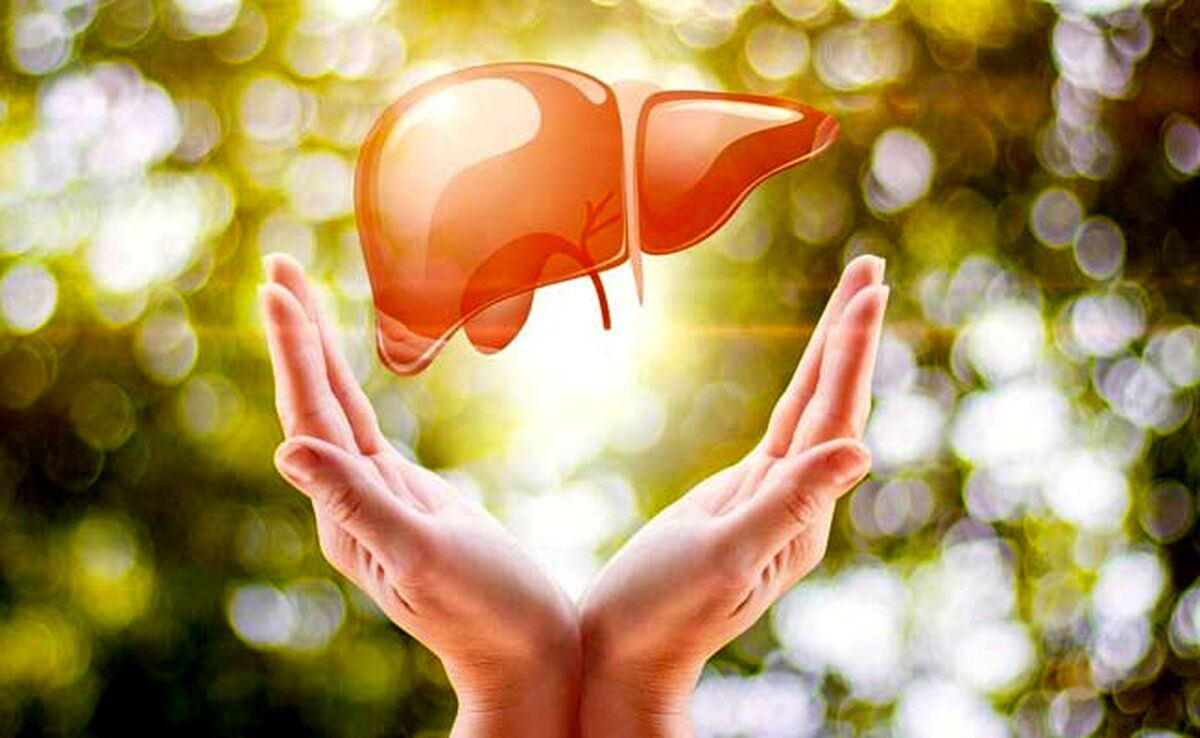 با این راهکار یک کبد صفر کیلومتر تحویل بگیرید