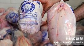 قیمت مرغ کامل رکورد زد| بحران نهاده و انحصار بازار را به لب مرز انفجار رساند