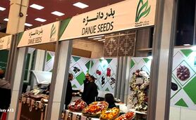 تکیه بر توان داخلی راه عبور از شرایط دشوار کنونی
