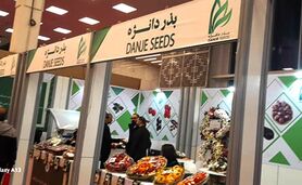 تکیه بر توان داخلی راه عبور از شرایط دشوار کنونی
