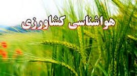 هشدار جدی هواشناسی به کشاورزان؛ ضرورت مقابله با وزش باد شدید و گردوخاک 