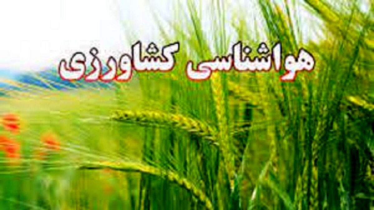 هشدار جدی هواشناسی به کشاورزان؛ ضرورت مقابله با وزش باد شدید و گردوخاک 