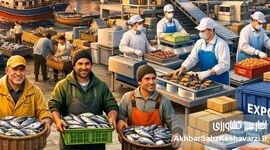 تلاش برای نجات مزارع ماهی از قطعی برق؛ درخواست فوری شیلات برای تخصیص سهمیه سوخت