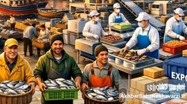 درخواست شیلات برای بازنگری در هزینه صدور گواهی حمل بچه‌میگو