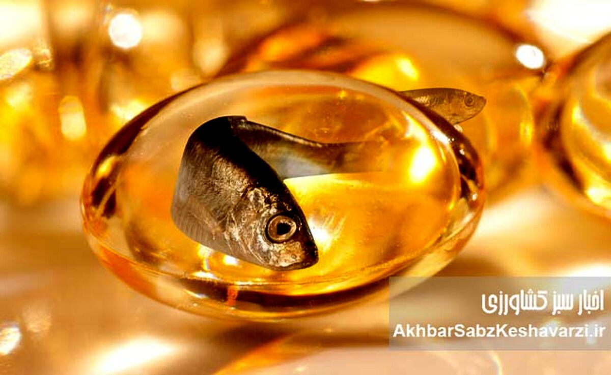 راز طول عمر ژاپنی‌ها فاش شد: فواید شگفت‌انگیز زردچوبه و روغن ماهی