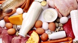 بحران در راه است؛ هشدار اتحادیه آوندا به بانک مرکزی درباره تأخیر در تخصیص ارز نهاده‌های دامی