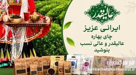 کشاورز چایکار فومنی، تنها در صنعت چای+ویدئو