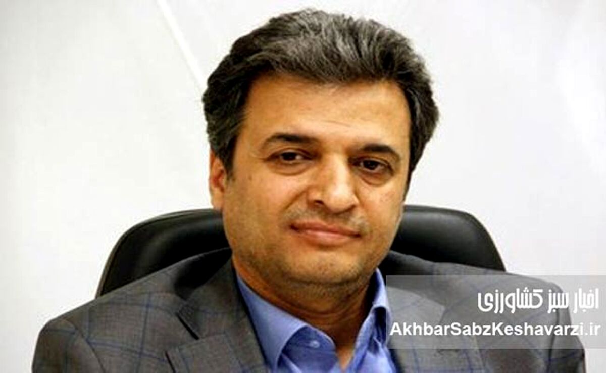 افزایش سرسام‌آور قیمت مواد غذایی و کاهش قدرت خرید در ایران؛ بررسی عوامل و راهکارهای سیاستی