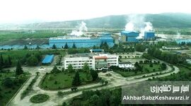 شرکت صنایع چوب و کاغذ مازندران (MWPI)؛ پیشگام تولید ملی+ ویدئو