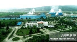 شرکت صنایع چوب و کاغذ مازندران (MWPI)؛ پیشگام تولید ملی+ ویدئو