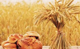 به مناسبت روز ملی گندم و نان

