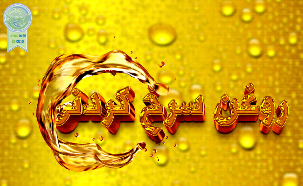 سالم‌ترین روغن سرخ‌کردنی

