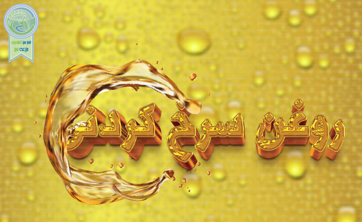 سالم‌ترین روغن سرخ‌کردنی

