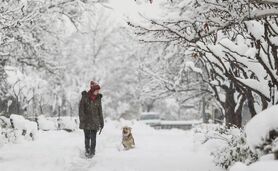 تهران یخ می‌زند