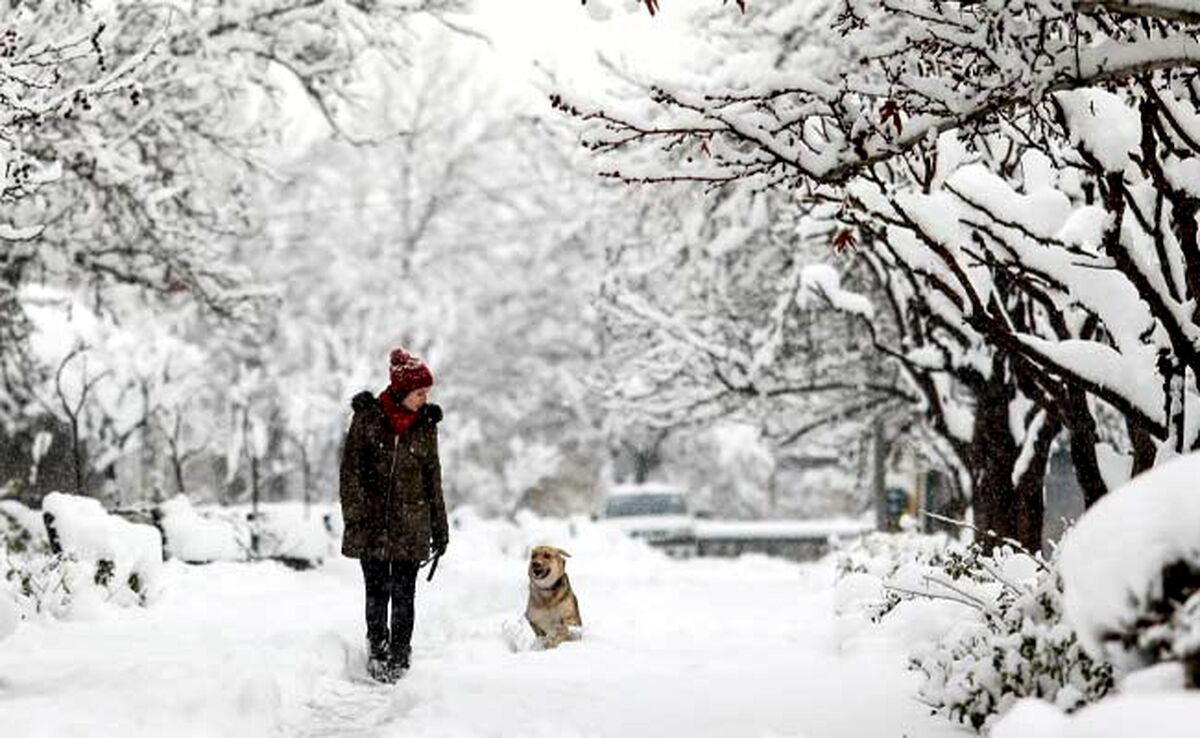 تهران یخ می‌زند