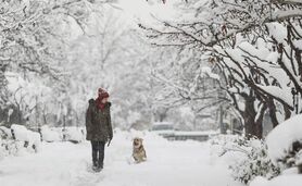 تهران یخ می‌زند