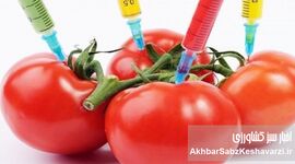تراریخته‌ها و ترس ایرانی‌ها؛ وقتی نگرانی سلامت بر تصمیم خرید غلبه می‌کند