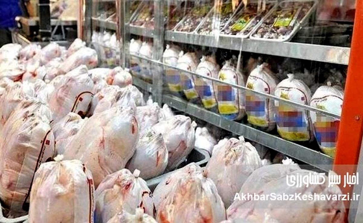 قیمت مرغ کاهشی شد؟ جدیدترین قیمت مرغ در بازار
