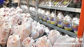 قیمت مرغ کاهشی شد؟ جدیدترین قیمت مرغ در بازار
