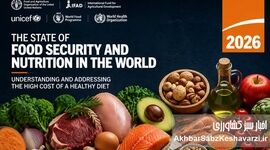 گزارش وضعیت امنیت غذایی و تغذیه جهان در سال ۲۰۲۶: کاهش تدریجی گرسنگی، اما تداوم چالش دسترسی به رژیم غذایی سالم


