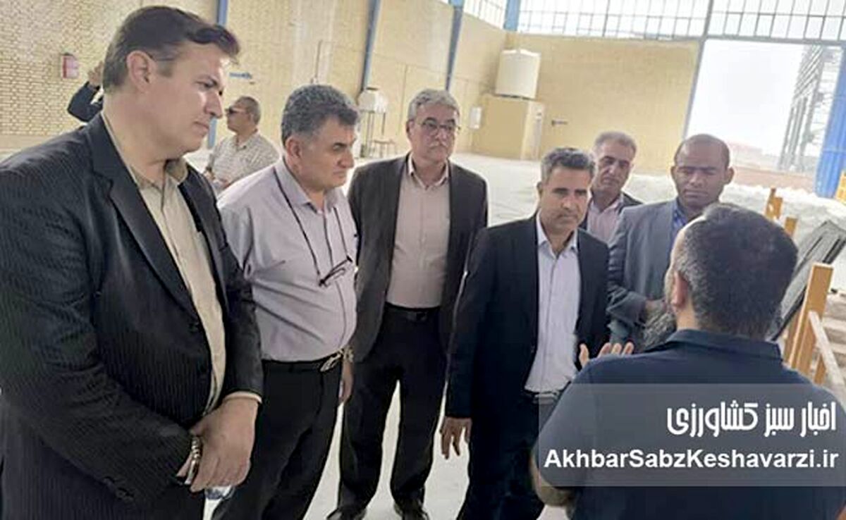 بازدید مهم از کیمیای سبز رفسنجان: آیا آینده کودهای ایران متحول می‌شود؟