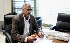 تأخیر در اعلام قیمت گندم به سود کشاورزان است