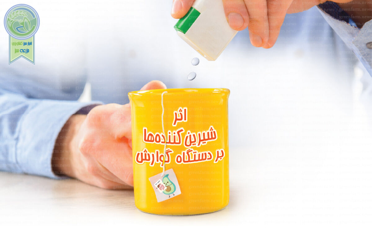 اثر شیرین‌کننده‌ها بر دستگاه گوارش

