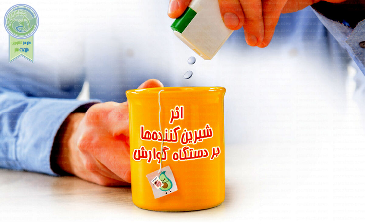 اثر شیرین‌کننده‌ها بر دستگاه گوارش

