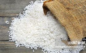 آیا برنج ارزان می‌شود یا فقط خبرش پخش می‌شود؟ بازار در گرو وعده‌های تکراری