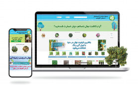 حمایت از تولید 2 میلیون اصله نهال گواهی‌شده براساس برنامه هفتم
